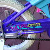 One cool chainguard