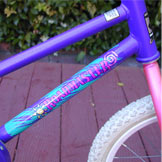A Roadmaster indeed. And I don't mean the bike.