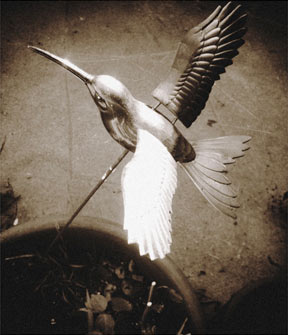 A photo from the archives