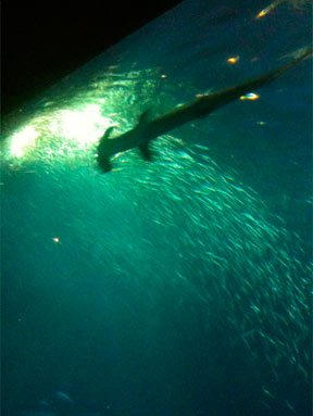 A photo from the archives