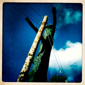 A photo from the archives